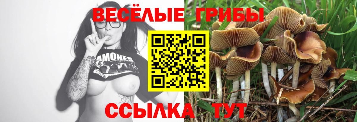 купить наркотик  Псилоцибиновые грибы мухоморы  Галлюциногенные грибы ЛСД  Вход с VPN  Уссурийск 